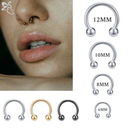 ZS 1 PC 316L Stainless Steel Nose Ring 14G 16G Nose Piercings Helix Ear Piercing Women Men Septum Rings Body Piercing Jewellery 240115