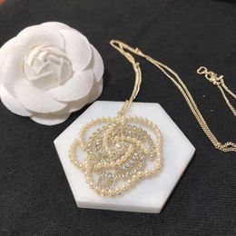 Jewelry Necklaces white Plated 925 Silver Graduated Luxury Brand Designers Letters Geometric Famous Women Round Crystal Rhinestone Gold 60