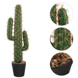 Decorative Flowers Potted Plant Cactus Succulent Planters Artificial In Plastic Landscaping Decor