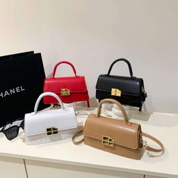 Single Shoulder Bag Women's Handbag 2024 Autumn/winter New Fashionable and Trendy Advanced Sense Handheld Crossbody Bag