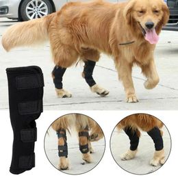 Dog Apparel Knee Brace Adjustable Pet Pads For Hip Legs Wrap Injury Recover Protector Support Bandages Straps