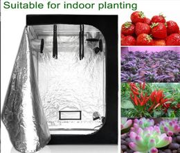 Grow Lights Tent For Green House Flowering Indoor Plants Flower Hydroponics5990785