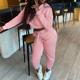 Women's Two Piece Pants Set Hooded Tracksuit Women Crop Top Lounge Wear Sweat Suit Jogger Sweatpants 2 Sexy Outfits Sweatshirt