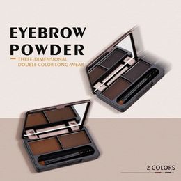 Two-color Eyebrow Powder Combination Long-lasting Waterproof Not Easy To Discolour Thrush Makeup 240116