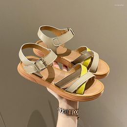 Sandals Summer Women Beach Open Toe Mixed Colours Fashion Casual Flats Shoes Soft Bottom Ladies