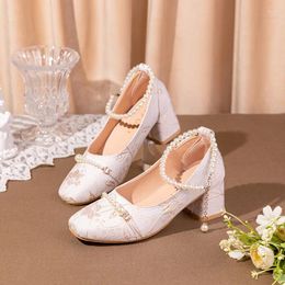 Dress Shoes Chinese Style Pumps For Women Elegant Vintage High Heels Closed Classic Mid Square Wedding Party Mary Jane