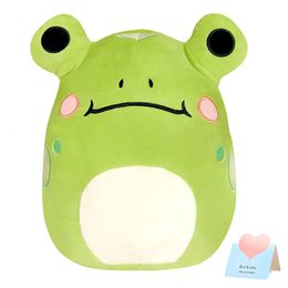 Soft Green Frog Soft Sleep Doll Round Cottom Throw Pillows Raised Frog Eye Design Cute Comfort Kid Gift Toys Home 240117