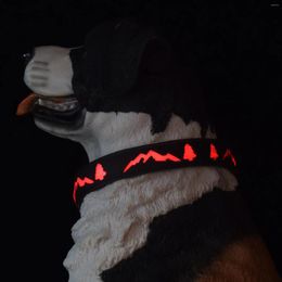 Dog Collars Adjustable Flashing Pet Collar Grow In Night Safety USB Rechargeable Nylon 8 Color Lights 15 Modes FlashingLed