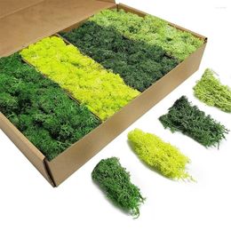 Decorative Flowers Artificial Green Plants Eternal Life Moss DIY Crafts Grass Garden Home Room Decor Mini Landscape Fake 20/40/100g