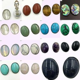 Clipon Screw Back Tiger Eye Blue Sand Aventurine Malachite Howlite Abalone Shell Crystal Opal Goldstone Oval Beads Clip Earring1266473