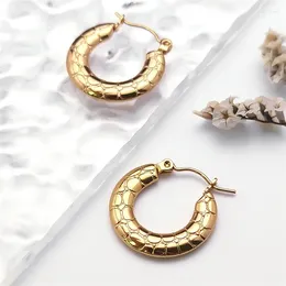 Stud Earrings Vintage Snake Skin Patterned Hoop Women Stainless Steel Korean Gold Colour Simple Style Earring Jewellery GiftsZZZ EXS04