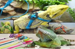 Adjustable Training Walk bird parrot Leash Running Cable Nylon Traction Rope Harness Reptile Lizard Harness Leash Multicolor Pet T2378530