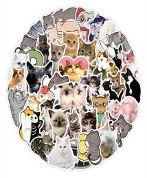 50Pcs Cartoon Cute Cat Stickers Pack Nonrandom Graffiti Car Bike Luggage Sticker Laptop Skateboard Motor Water Bottle Dec6349637