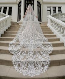 Gorgeous Designer Wedding Veils 3M Long Cathedral Length One Layer Lace Appliqued Edge Tulle Bridal Veil For Women Hair Accessorie9438317