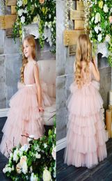 Blush Pink Lovely Cute Flower Girl Dresses Glamorous Vintage Princess Daughter Toddler Pretty Kids Pageant Formal First Holy Commu3882317