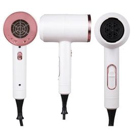 Professional Salon Hair Dryer 2000W 2 In 1 Cold Wind Negative Ion Electric Hairdryer Strong Fast Transport 240116