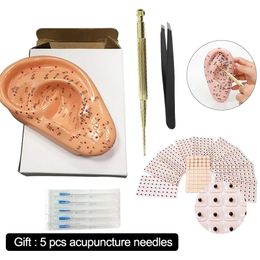 4 in 1 Ear Acupuncture Points Set Model Ear Press Seed Ear Probe Set 13cm Human Medical Ear Auricular Acupoints Model with English