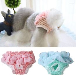Dog Apparel Pet Diaper Physiological Pant Sanitary Panties Adjustable Washable Female Short Underwear Lace Edge Trousers