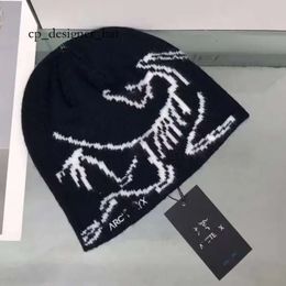 Bone Bird Hat Arcterys Hat Brand Ancestor Hat Arc Hat Men Arcterxy Hat Men's Arc Hat Windproof and Fashionable Hat 4581
