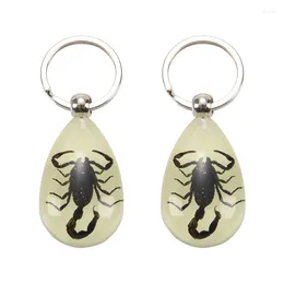 Keychains 2X Glow-In-The-Dark Real Insect Keychain (Black Scorpion)