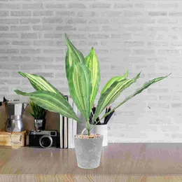 Decorative Flowers Artificial Trifasciata Stems Tiger Piranha Plants Indoor Simulation Snake Decor