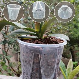 10PC Transparent dense large capacity breathable DIY plant plastic container flower stand orchid plant 240118