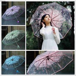 Umbrellas Cherry Blossom Transparent Three Fold Umbrella Cherry Blossom Umbrella PVC material