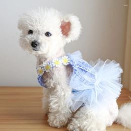 Dog Apparel Spring Summer Girl Lace Skirt With Flower Decorations Outdoor Walking Dress