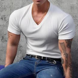 Men's T Shirts Classic V Neck Solid Colour Ribbed Basic Men's Slim Short Sleeve Strech Sports Tees Men Clothes Summer Fashion Pullovers