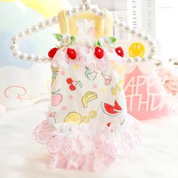 Dog Apparel Pet Clothes Fruit Suspender Dress For Clothing Cat Small Cherry Print Cake Skirt Cute Thin Winter Girl Products 2024