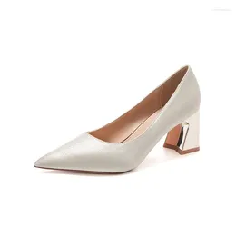 Dress Shoes Lady Footwear Women Boots Unique Design Platform Weeding Working Pointed Toe Rubber Sole Pumps Thin Heels High GH318