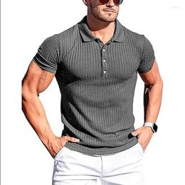 Men's T Shirts Summer Polo Men Solid Stripe Elasticity Short Sleeve Fashion Stand Collar Mens 2024 Oversized Shirt