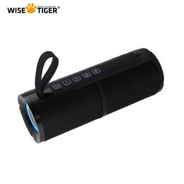 Speakers WISE TIGER FM Radio Speaker Bluetooth Speaker BT5.3 Portable Bluetooth Speaker with RGB Light USB TF Card Slot 10W TWS Dual Pair