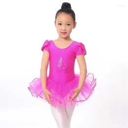 Stage Wear Flower Girls Ballet Dress For Children Girl Dance Clothing Kids Costumes Leotard Dancewear 3 Color