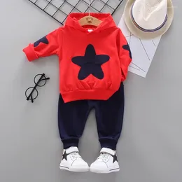 Clothing Sets Autumn Spring Toddler Clothes Suits Children Baby Girls Boy T Shirt Pants 2pcs/Set Kids Sports Costume Suit 0-5 Years