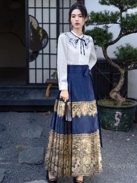 Skirts Chinese Style Horse-Face Skirt Women's Autumn And Winter 2024 Spring Ming Hanfu Daily Commuter National Long