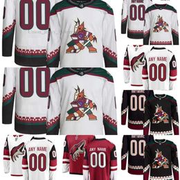 Arizona Hockey Coyotes Jerseys 70 Karel Vejmelka 14 Shayne Gostisbehere 12 Ritchie 17 Nick Bjugstad 19 Troy Terry 90 J.J. Moser 9 Clayt 3209