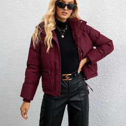 Women's Trench Coats 2024 Korean Style Short Stand Collar Small Down Jacket For Women Simple Loose Version Zipper Solid Color