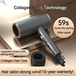 Hair Dryers 2200W Hair Dryer Low Radiation Double Negative Ion Blue Light Hydrating Care Electric Blow Drier Strong Wind Speed Drying