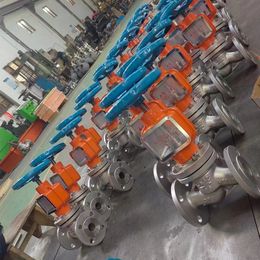 standard stainless steel brass flange oxygen pipe globe valve