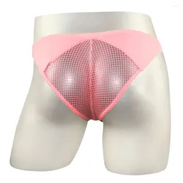 Underpants Perspective Sexy Mens Sheer Mesh Low-Rise Bikini Briefs See-Through Back Underwear Swimwear Lingerie Sleepwear Panties