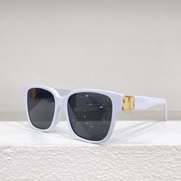 Designer Fashion Sunglasses Acetate Fiber Square Cat Eyes 0104 High Quality Sunglasses Driving Travel Beach Sunglasses with Original Box