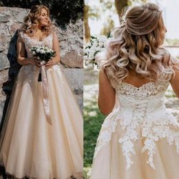 2021 Light Champagne Wedding Dresses with Lace Applique Covered Buttons Corset Back Floor Length Tulle Country Wedding Gown vestid215a