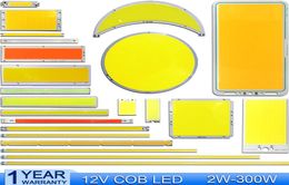 2W200W DC 12V COB LED Chip Light Bulb for Auto Car Lamps House Lighting DIY LED Panel Light COB Strip7167779