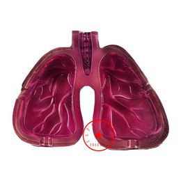 Latest Cool Resin Smoking Ashtray Innovative Art Lungs Shape Desktop Tobacco Cigarette Tips Support Portable Container Bracket Holder Soot Ash Ashtrays