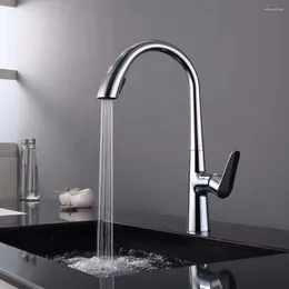 Kitchen Faucets Faucet Cold And Water Drawing Type All-Copper Rotating Facilities Bathroom Fixing Device