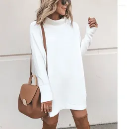 Casual Dresses Loose And Comfortable 2024 Autumn/Winter Long Sleeved Solid Colour Fashion Round Neck Knitted Short Dress For Women