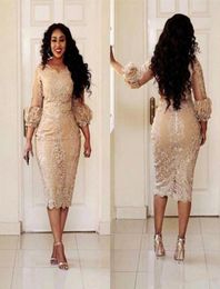 Vintage Champagne Lace Mother of the Bride Dresses Tea length Modest Long Sleeve Plus Size Mother of Groom Formal Occasion Dress301518770
