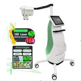 Factory price Green Laser 532nm 10d Laser Slimming Machine 10d Maxlipo Master Fat Removal 10d Therapy Lipolaser Slimming Fat Reduce body shape slim weight loss laser