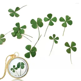 Nail Stickers Brand 12 Pieces Of Dry Leaf Clover UV Resin Decorative Art Epoxy Mold DIY Fashion Unique Design Filled Jewelry